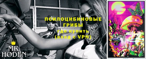 не бодяженный Алексин