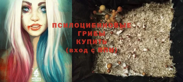 твердый Алзамай