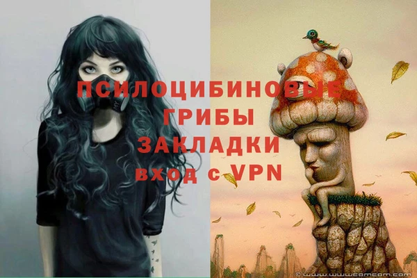 не бодяженный Алексин