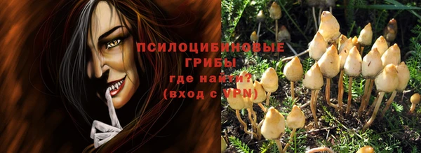 не бодяженный Алексин