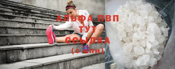 твердый Алзамай