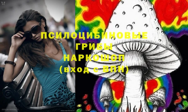 не бодяженный Алексин